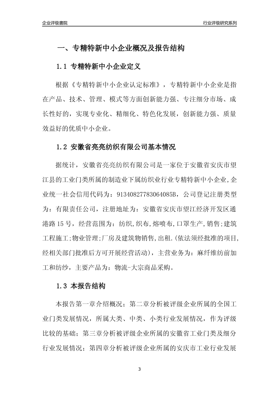 [专精特新]安徽省亮亮纺织有限公司行业竞争力评级分析报告(2023版).docx_第3页