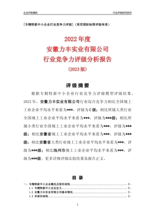 [专精特新]安徽力丰实业有限公司行业竞争力评级分析报告(2023版).docx