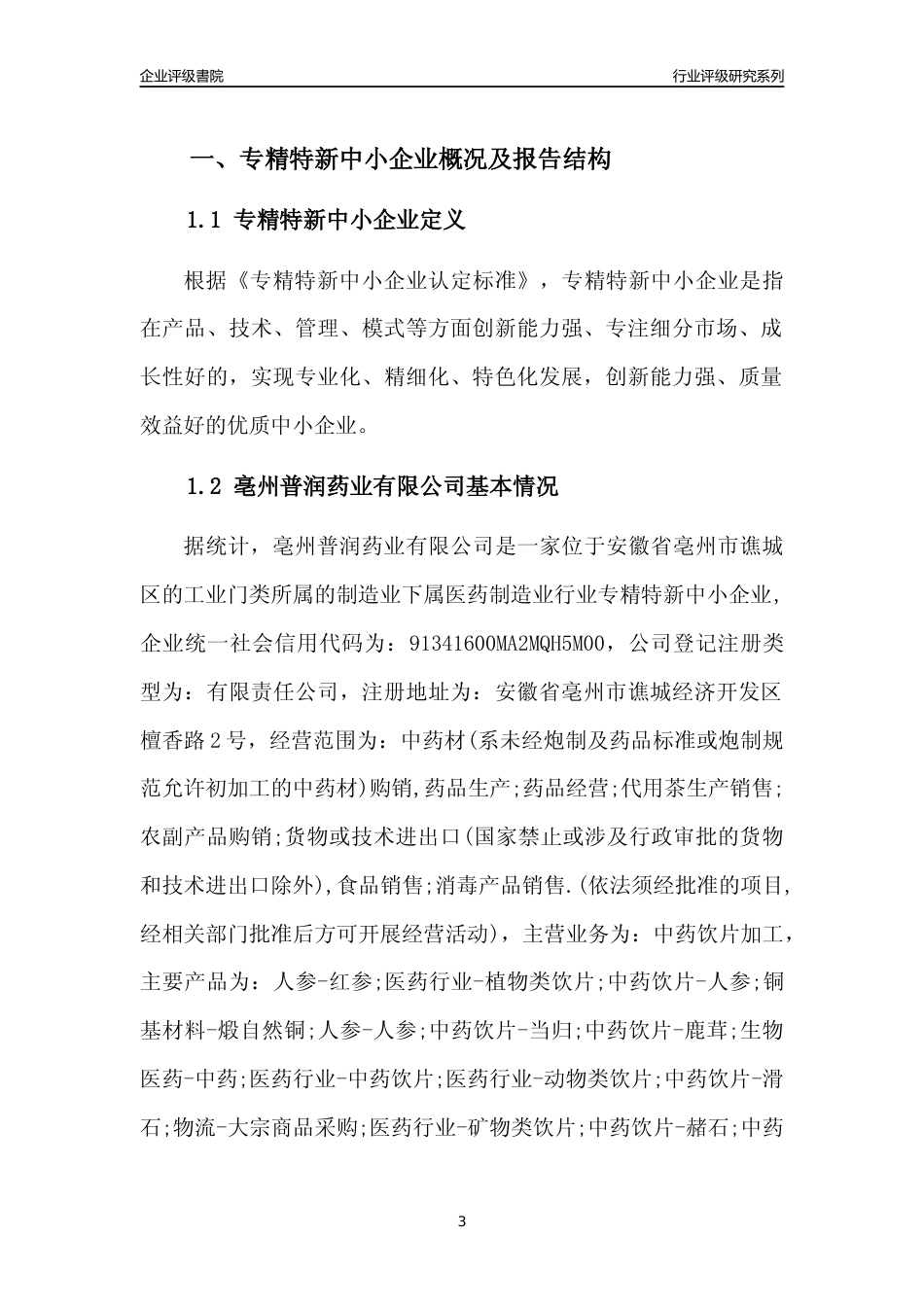 [专精特新]亳州普润药业有限公司行业竞争力评级分析报告(2023版).docx_第3页