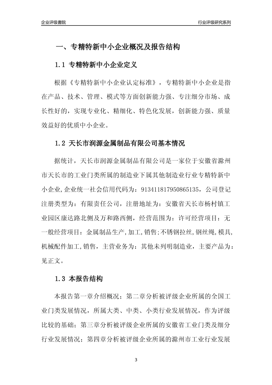 [专精特新]天长市润源金属制品有限公司行业竞争力评级分析报告(2023版).docx_第3页