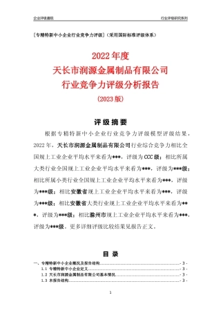 [专精特新]天长市润源金属制品有限公司行业竞争力评级分析报告(2023版).docx