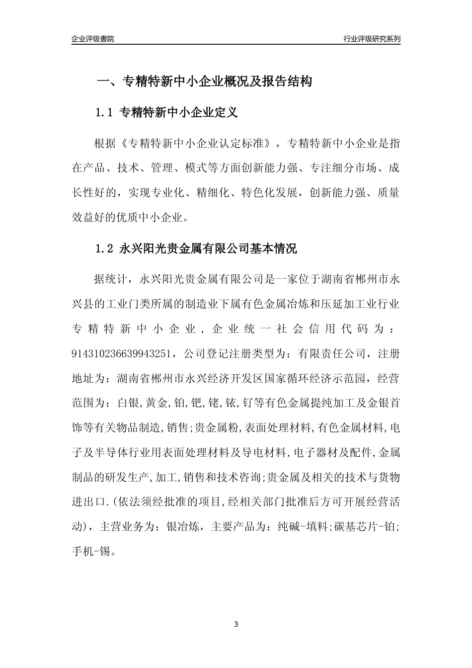 [专精特新]永兴阳光贵金属有限公司行业竞争力评级分析报告(2023版)_第3页