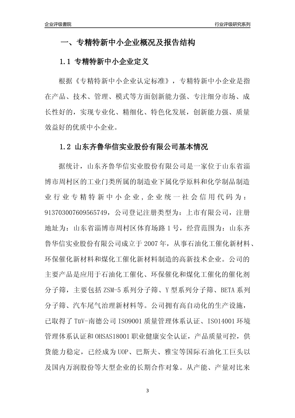 [专精特新]山东齐鲁华信实业股份有限公司行业竞争力评级分析报告(2023版)_第3页