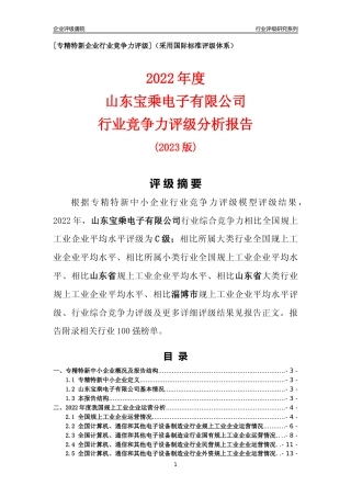 [专精特新]山东宝乘电子有限公司行业竞争力评级分析报告(2023版)