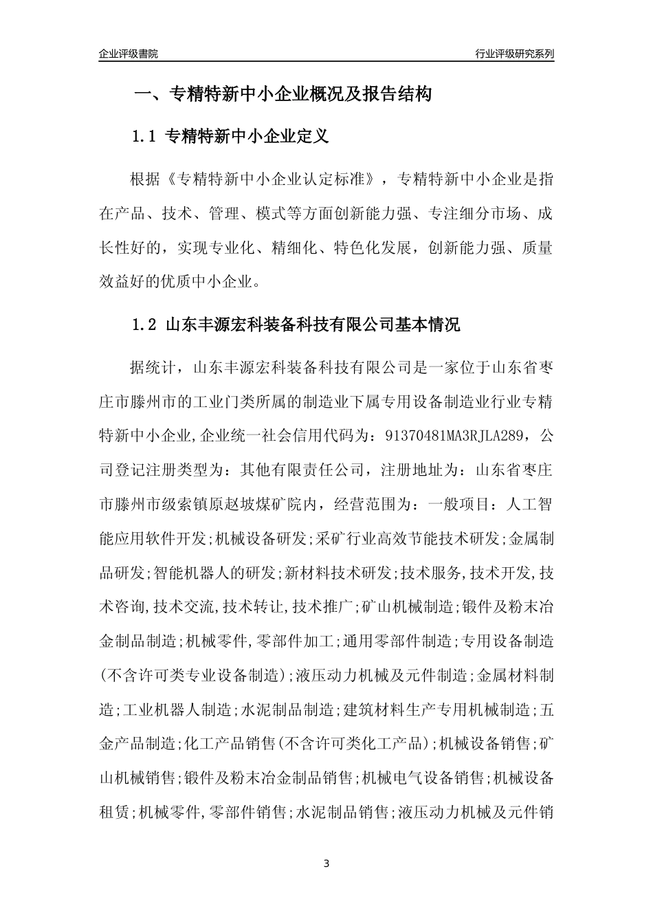 [专精特新]山东丰源宏科装备科技有限公司行业竞争力评级分析报告(2023版)_第3页