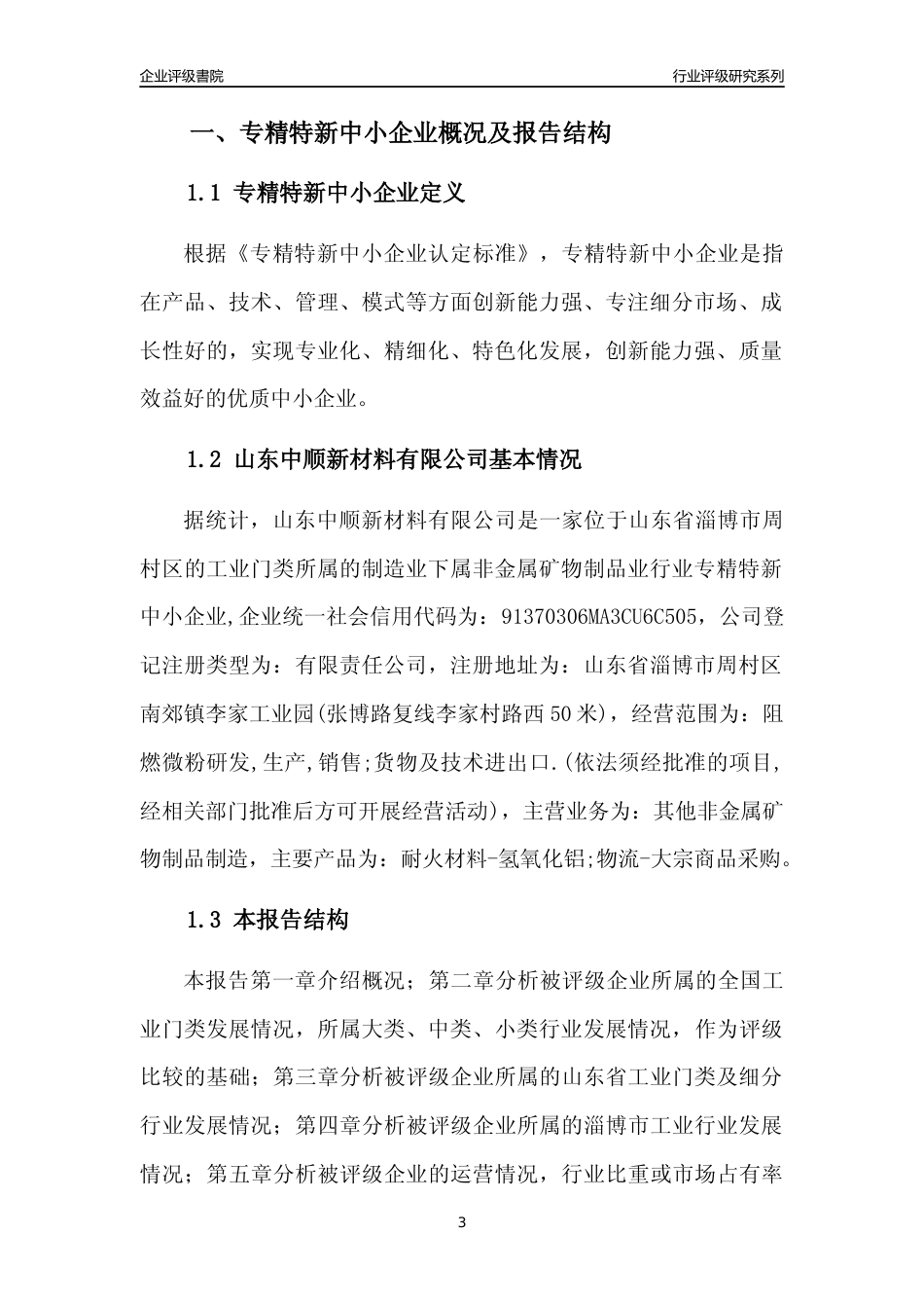 [专精特新]山东中顺新材料有限公司行业竞争力评级分析报告(2023版)_第3页