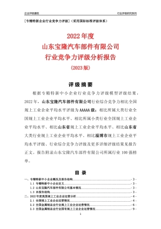 [专精特新]山东宝隆汽车部件有限公司行业竞争力评级分析报告(2023版)