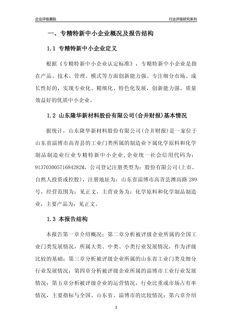 [专精特新]山东隆华新材料股份有限公司(合并财报)行业竞争力评级分析报告(2023版)_第3页