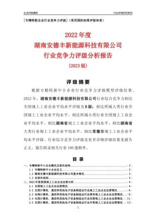 [专精特新]湖南安德丰新能源科技有限公司行业竞争力评级分析报告(2023版)