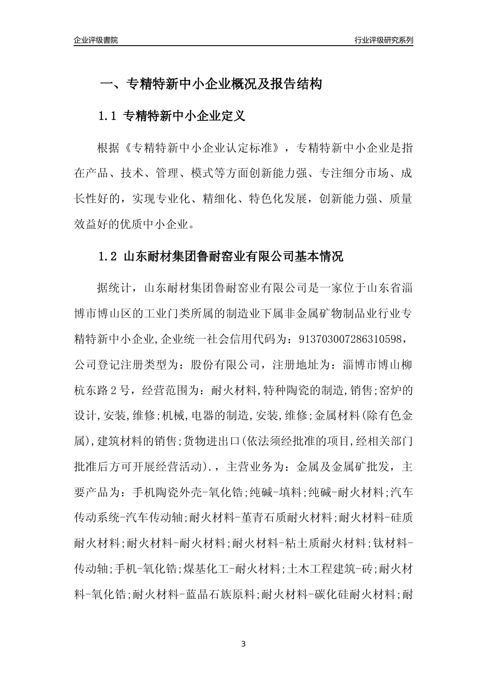 [专精特新]山东耐材集团鲁耐窑业有限公司行业竞争力评级分析报告(2023版).docx_第3页