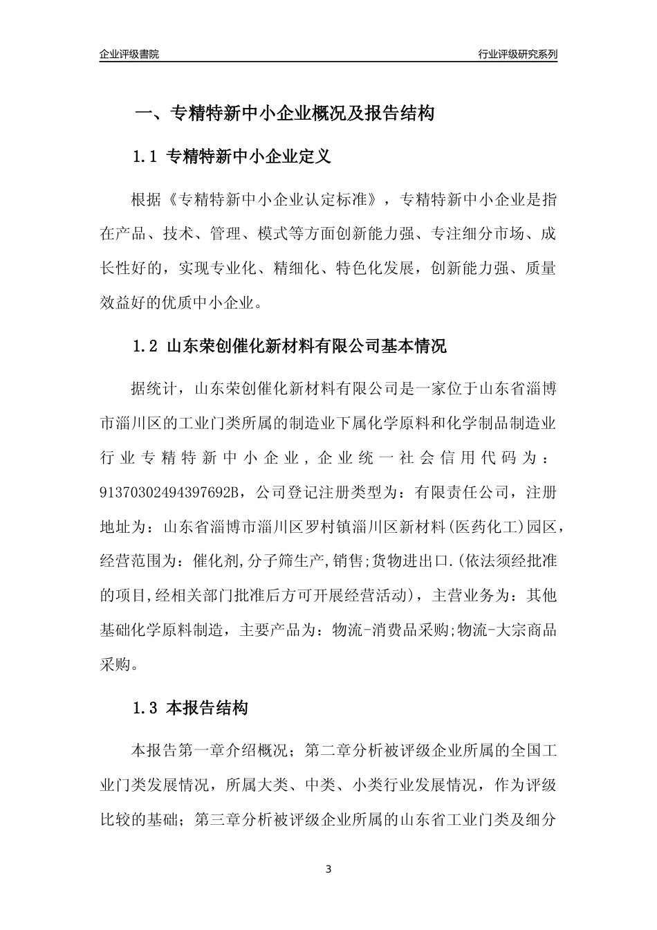 [专精特新]山东荣创催化新材料有限公司行业竞争力评级分析报告(2023版).docx_第3页
