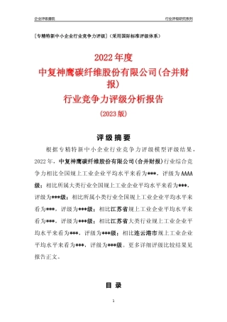 [专精特新]中复神鹰碳纤维股份有限公司(合并财报)行业竞争力评级分析报告(2023版).docx
