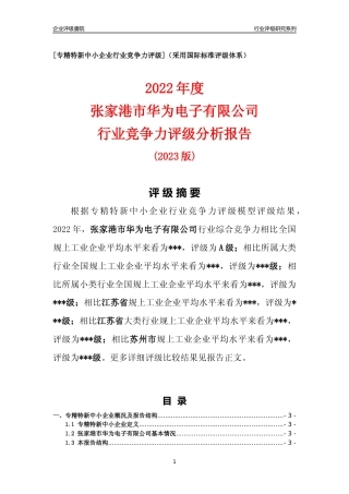 [专精特新]张家港市华为电子有限公司行业竞争力评级分析报告(2023版).docx