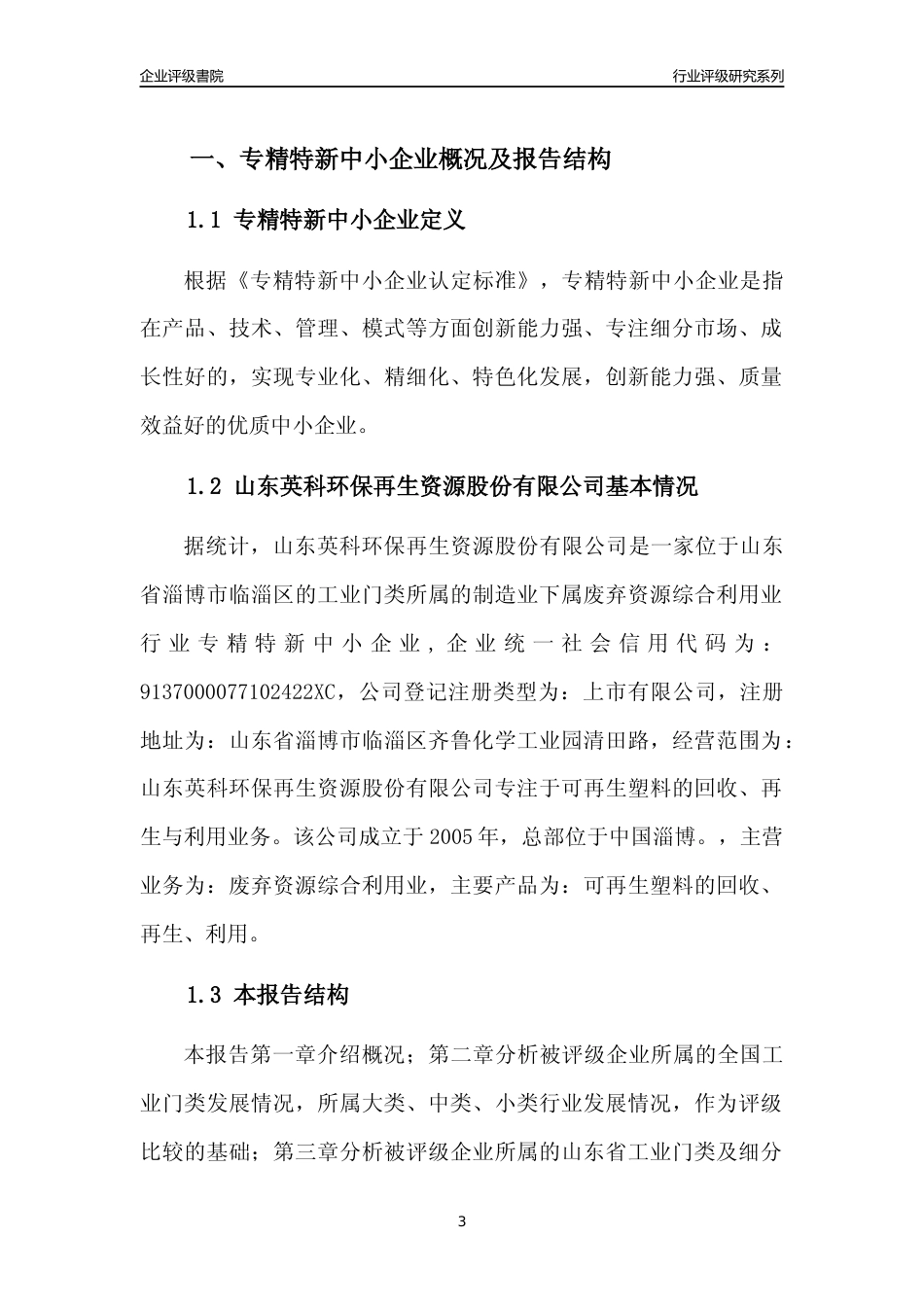 [专精特新]山东英科环保再生资源股份有限公司行业竞争力评级分析报告(2023版).docx_第3页