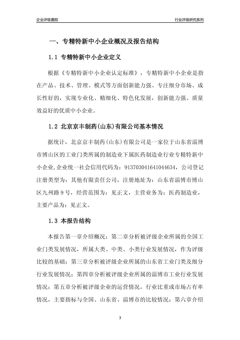 [专精特新]北京京丰制药(山东)有限公司行业竞争力评级分析报告(2023版).docx_第3页