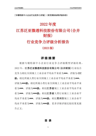 [专精特新]江苏泛亚微透科技股份有限公司(合并财报)行业竞争力评级分析报告(2023版).docx