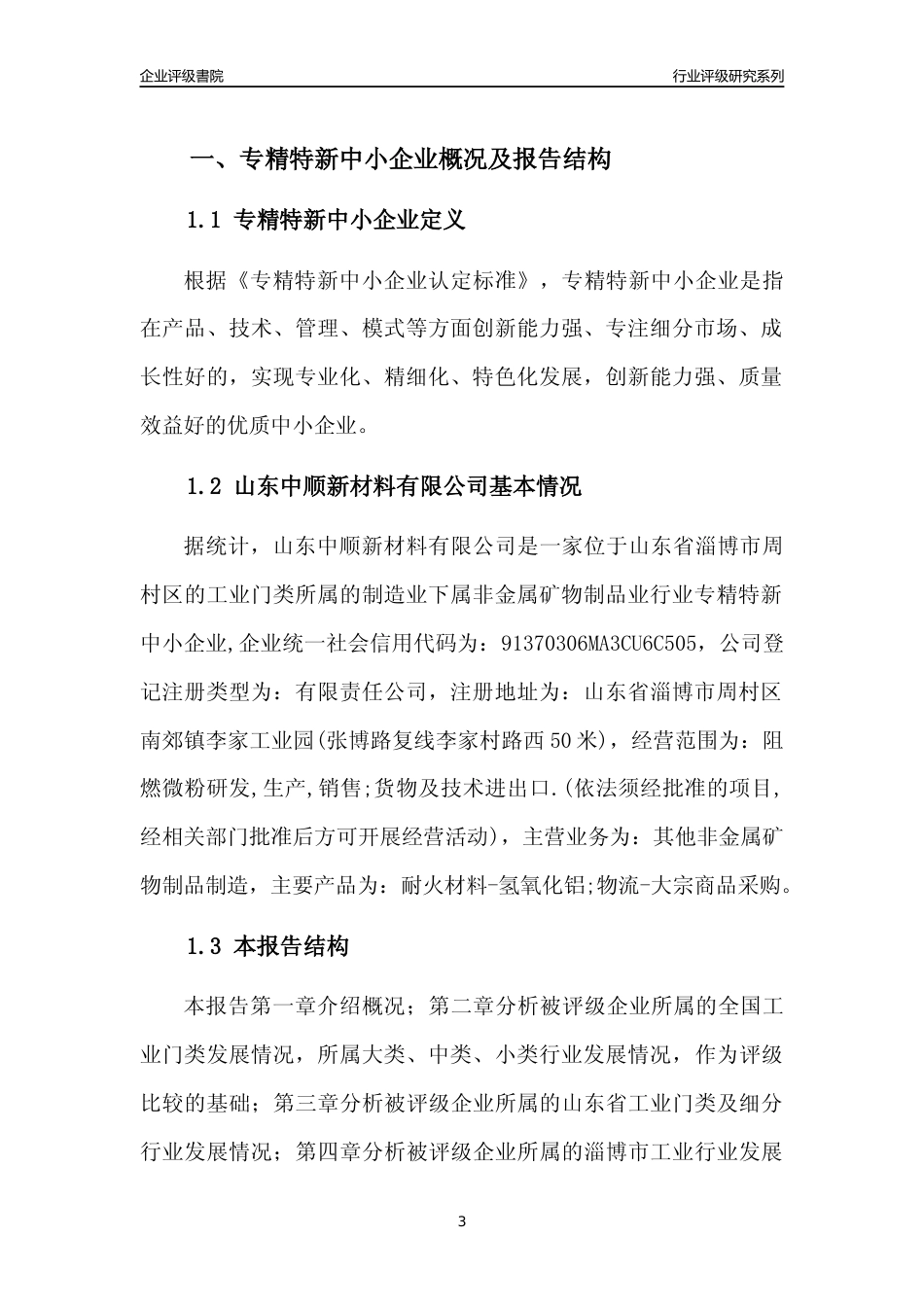 [专精特新]山东中顺新材料有限公司行业竞争力评级分析报告(2023版).docx_第3页