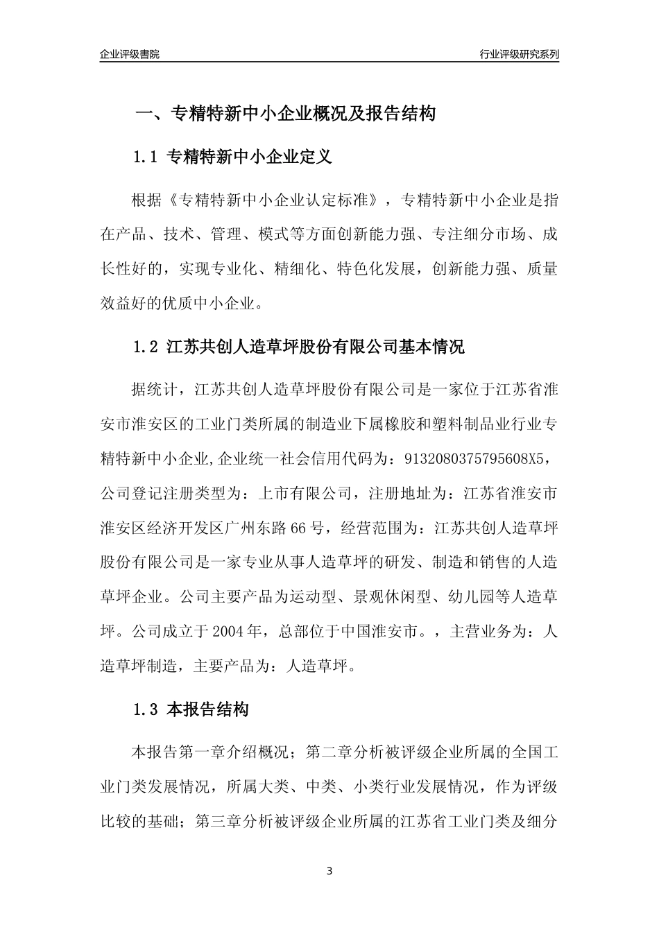 [专精特新]江苏共创人造草坪股份有限公司行业竞争力评级分析报告(2023版).docx_第3页