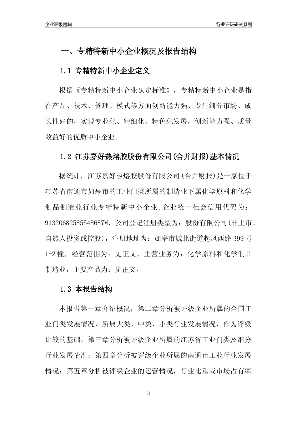 [专精特新]江苏嘉好热熔胶股份有限公司(合并财报)行业竞争力评级分析报告(2023版).docx_第3页