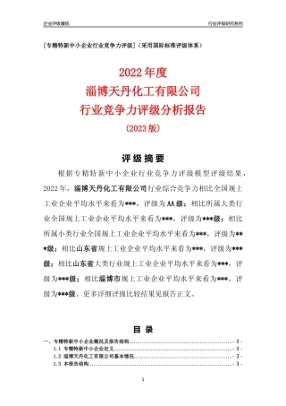 [专精特新]淄博天丹化工有限公司行业竞争力评级分析报告(2023版).docx