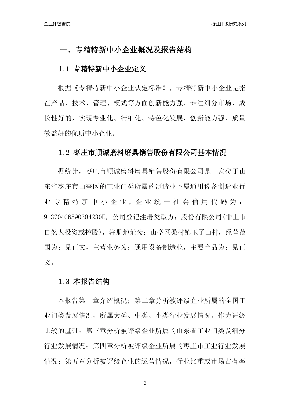 [专精特新]枣庄市顺诚磨料磨具销售股份有限公司行业竞争力评级分析报告(2023版).docx_第3页