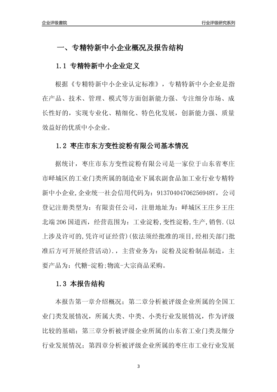 [专精特新]枣庄市东方变性淀粉有限公司行业竞争力评级分析报告(2023版).docx_第3页