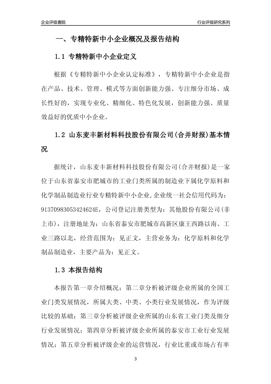 [专精特新]山东麦丰新材料科技股份有限公司(合并财报)行业竞争力评级分析报告(2023版)_第3页