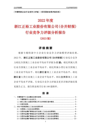 [专精特新]浙江正裕工业股份有限公司(合并财报)行业竞争力评级分析报告(2023版)