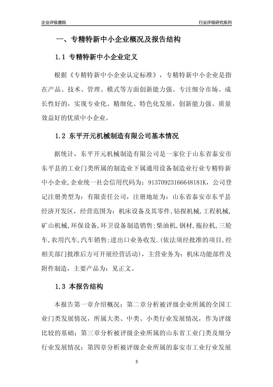 [专精特新]东平开元机械制造有限公司行业竞争力评级分析报告(2023版)_第3页