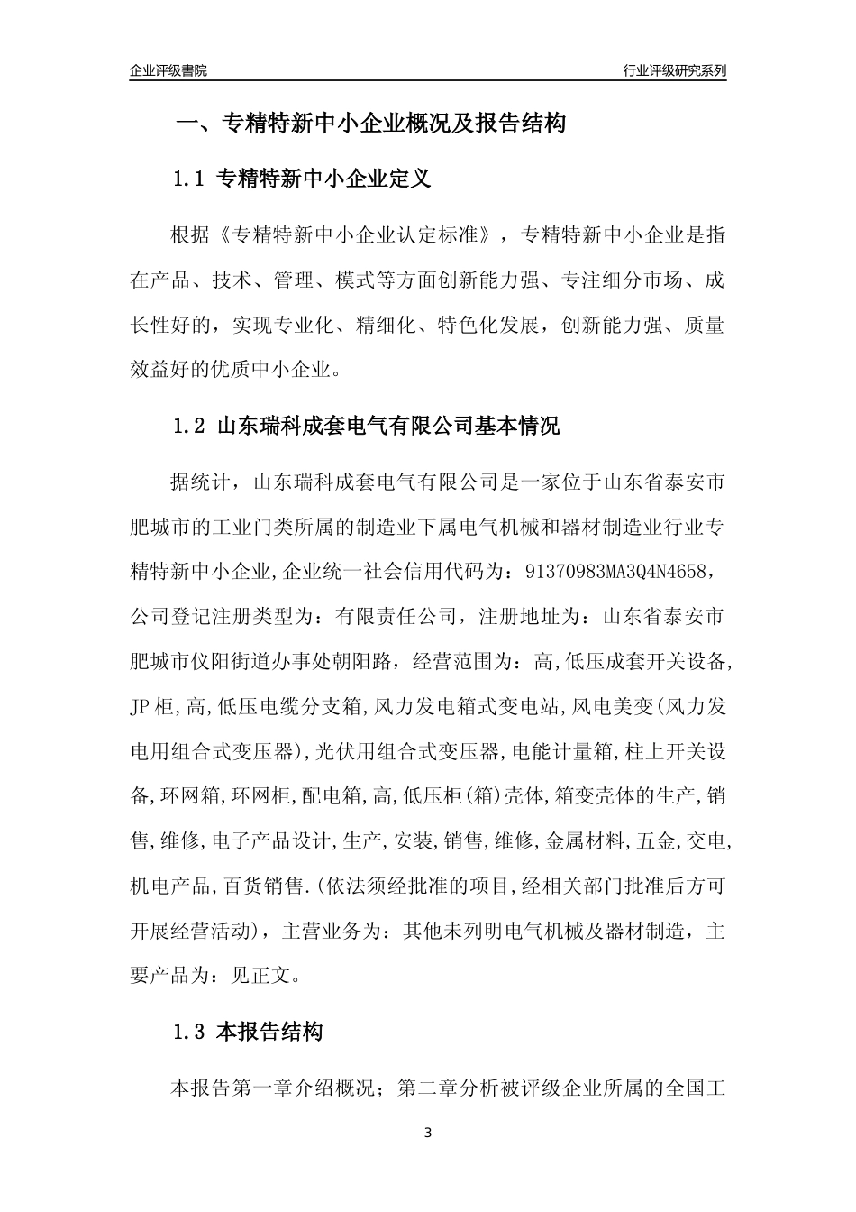 [专精特新]山东瑞科成套电气有限公司行业竞争力评级分析报告(2023版)_第3页