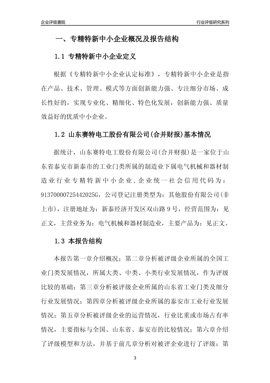 [专精特新]山东赛特电工股份有限公司(合并财报)行业竞争力评级分析报告(2023版)_第3页