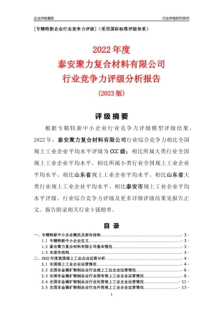 [专精特新]泰安聚力复合材料有限公司行业竞争力评级分析报告(2023版)