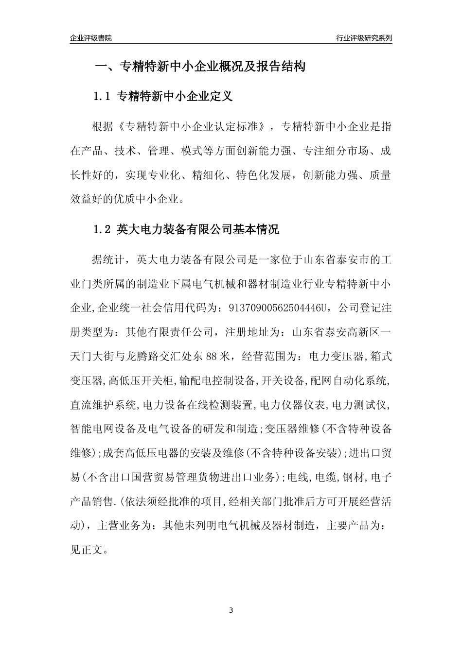 [专精特新]英大电力装备有限公司行业竞争力评级分析报告(2023版)_第3页