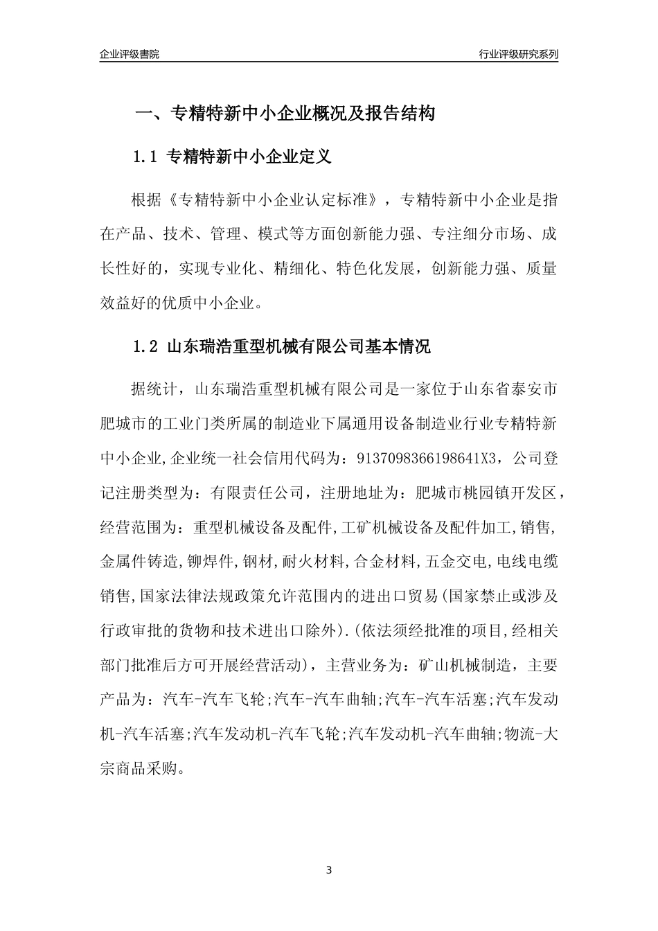 [专精特新]山东瑞浩重型机械有限公司行业竞争力评级分析报告(2023版)_第3页