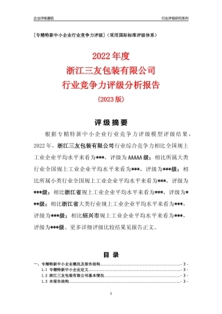 [专精特新]浙江三友包装有限公司行业竞争力评级分析报告(2023版)