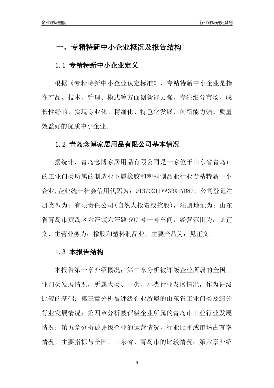 [专精特新]青岛念博家居用品有限公司行业竞争力评级分析报告(2023版)_第3页