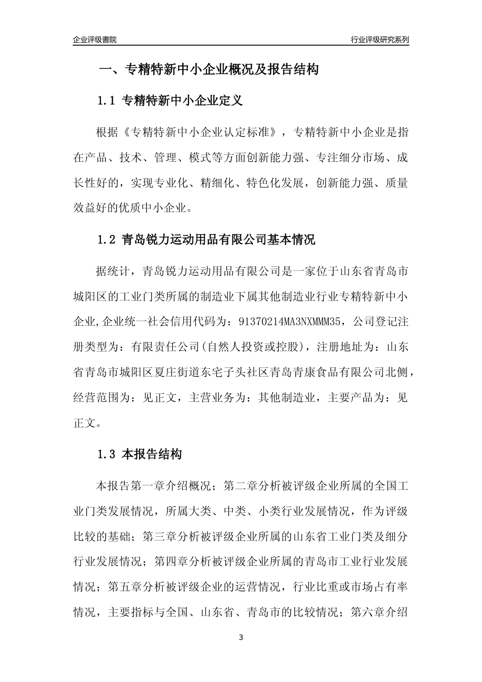 [专精特新]青岛锐力运动用品有限公司行业竞争力评级分析报告(2023版)_第3页
