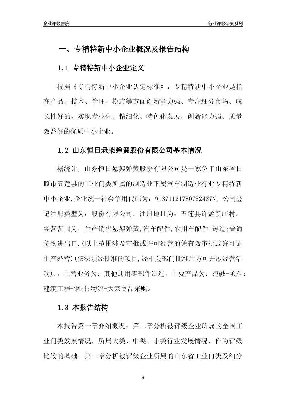 [专精特新]山东恒日悬架弹簧股份有限公司行业竞争力评级分析报告(2023版)_第3页