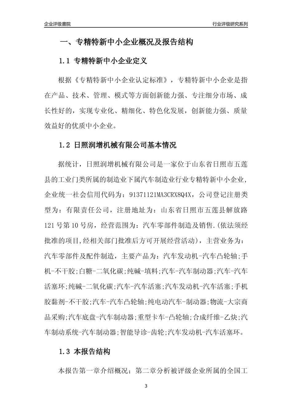 [专精特新]日照润增机械有限公司行业竞争力评级分析报告(2023版)_第3页