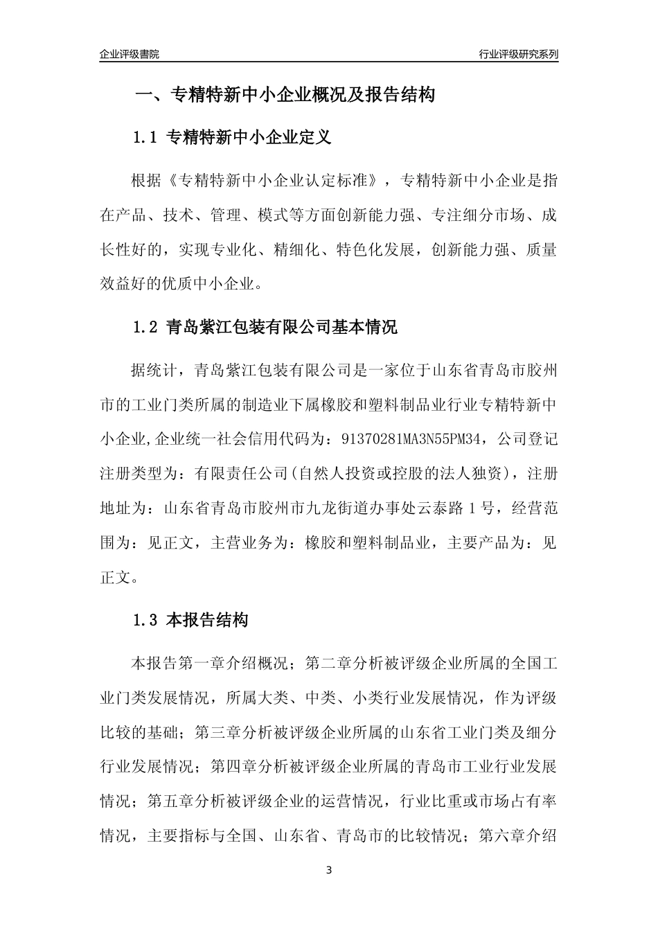 [专精特新]青岛紫江包装有限公司行业竞争力评级分析报告(2023版)_第3页