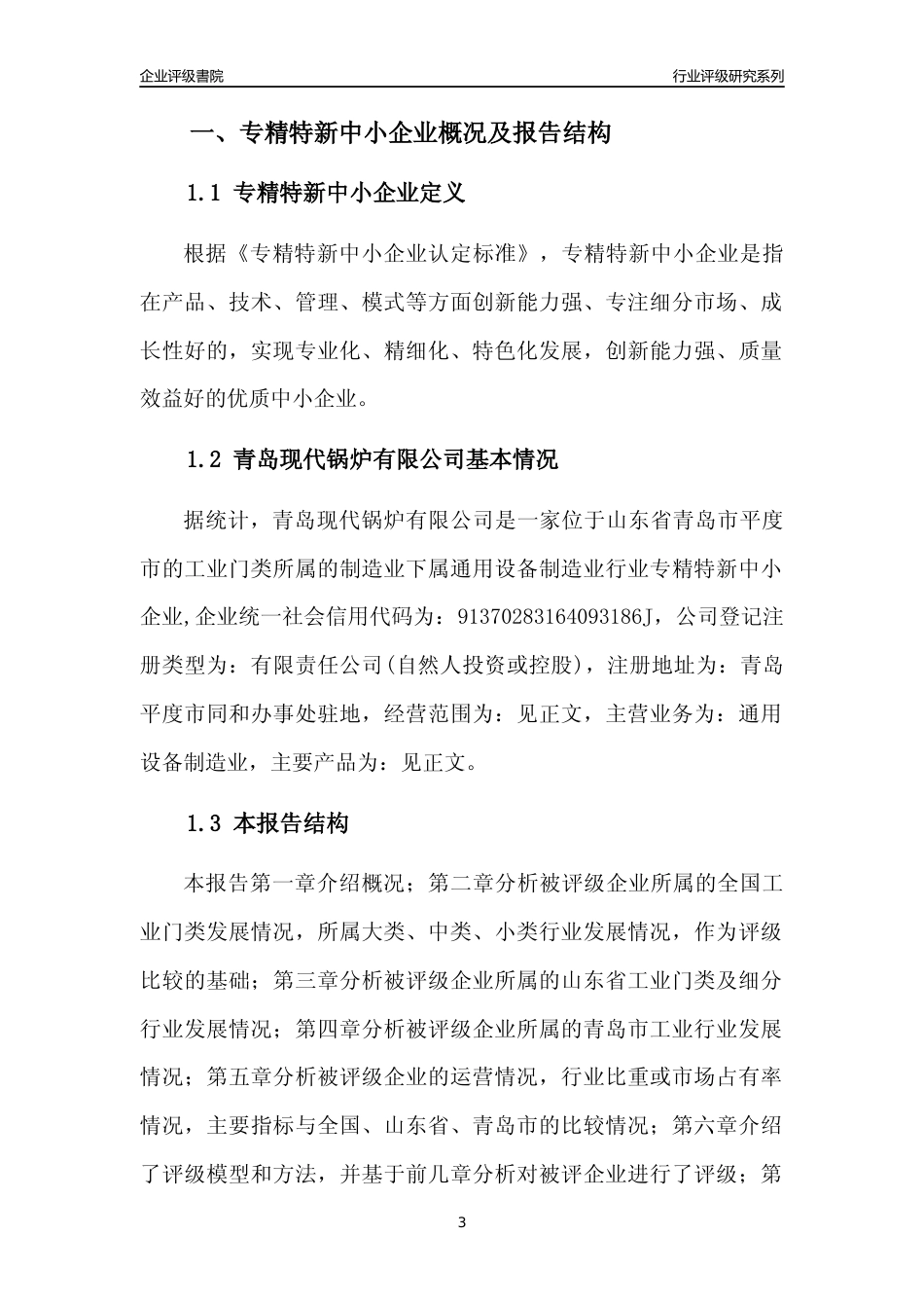 [专精特新]青岛现代锅炉有限公司行业竞争力评级分析报告(2023版)_第3页