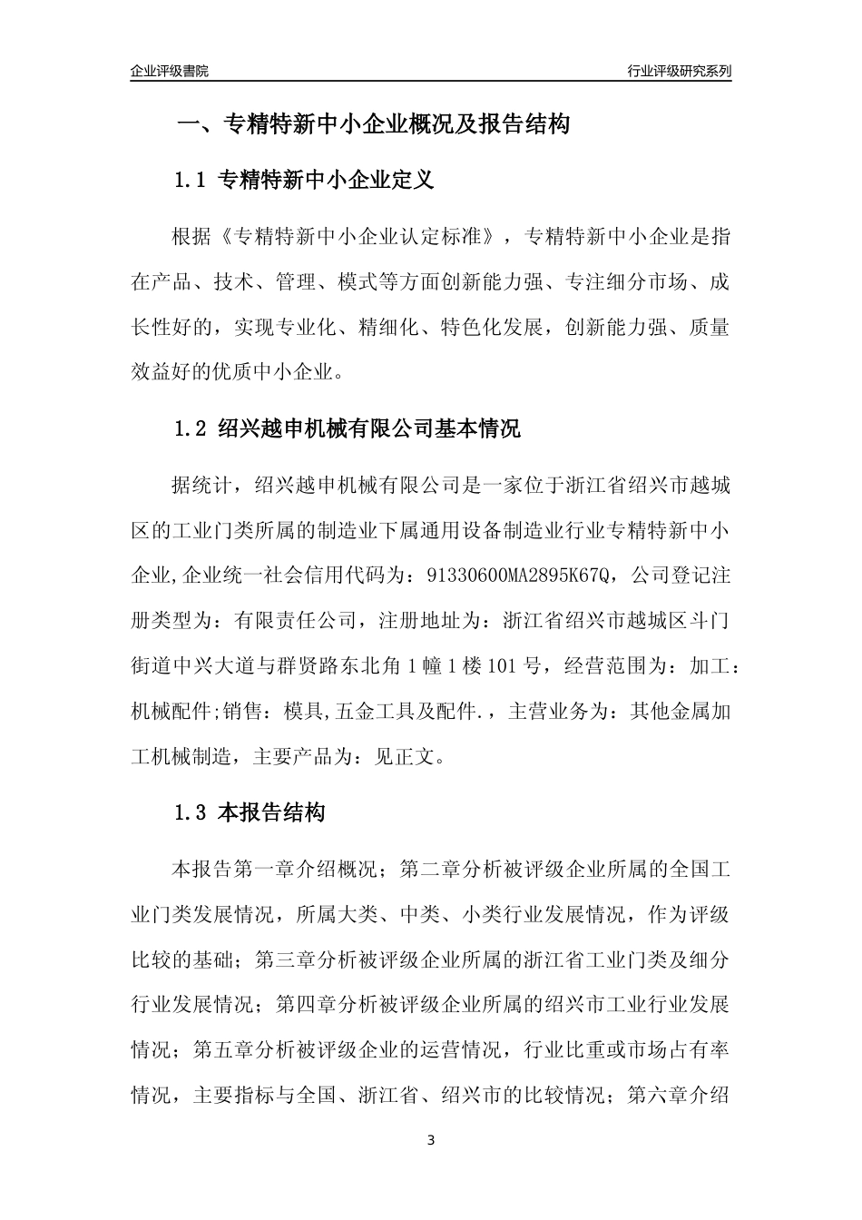 [专精特新]绍兴越申机械有限公司行业竞争力评级分析报告(2023版)_第3页