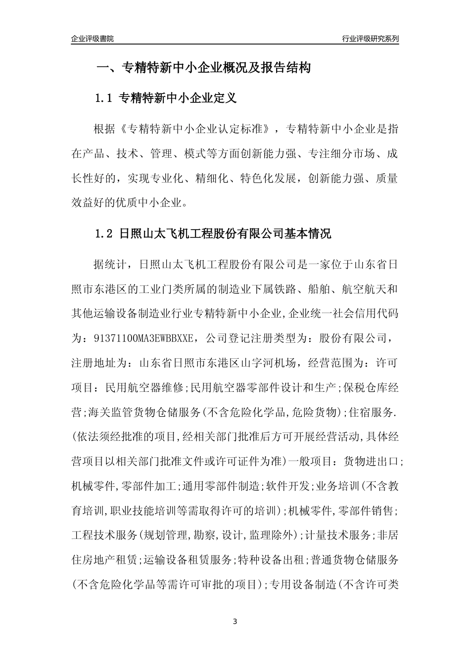 [专精特新]日照山太飞机工程股份有限公司行业竞争力评级分析报告(2023版)_第3页