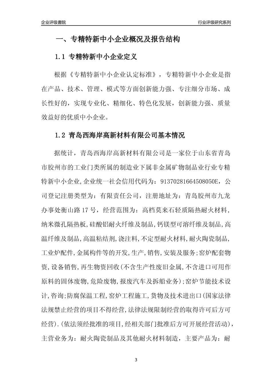 [专精特新]青岛西海岸高新材料有限公司行业竞争力评级分析报告(2023版)_第3页