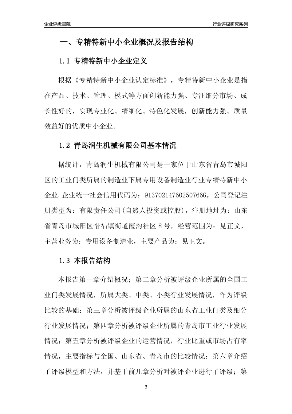 [专精特新]青岛润生机械有限公司行业竞争力评级分析报告(2023版)_第3页