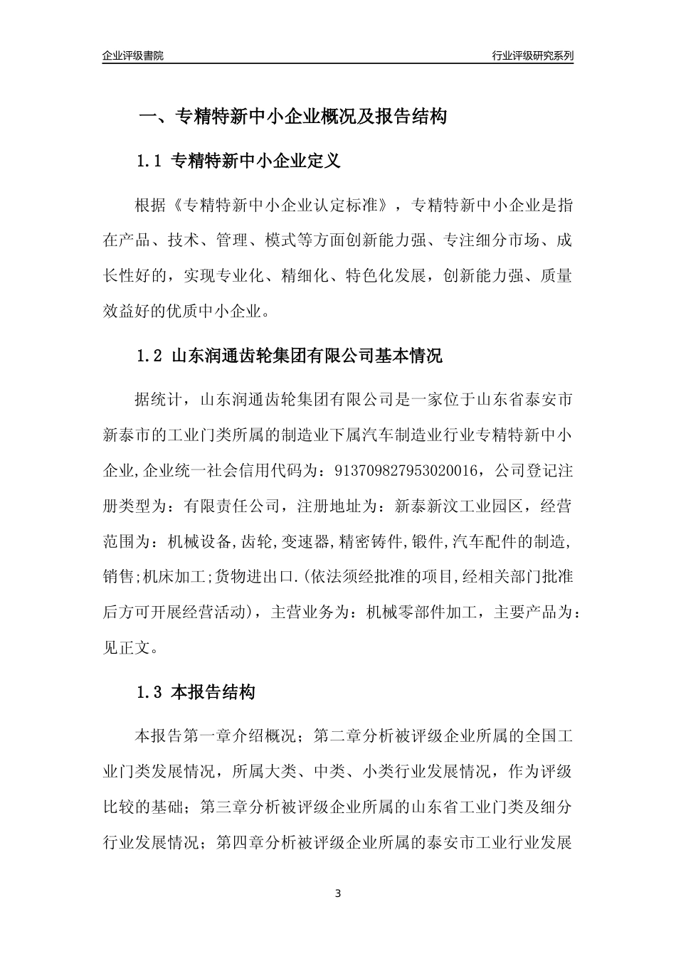 [专精特新]山东润通齿轮集团有限公司行业竞争力评级分析报告(2023版)_第3页