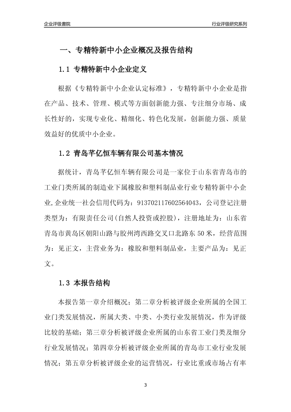 [专精特新]青岛芊亿恒车辆有限公司行业竞争力评级分析报告(2023版)_第3页