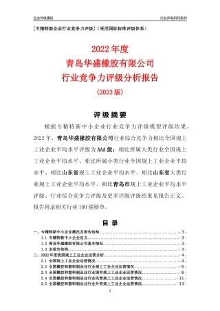 [专精特新]青岛华盛橡胶有限公司行业竞争力评级分析报告(2023版)