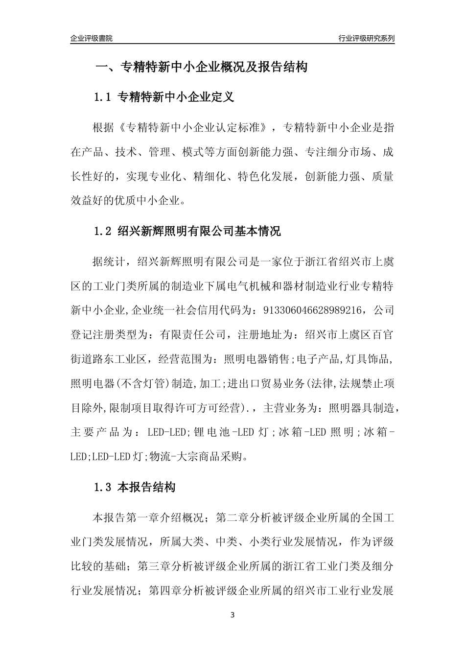[专精特新]绍兴新辉照明有限公司行业竞争力评级分析报告(2023版)_第3页