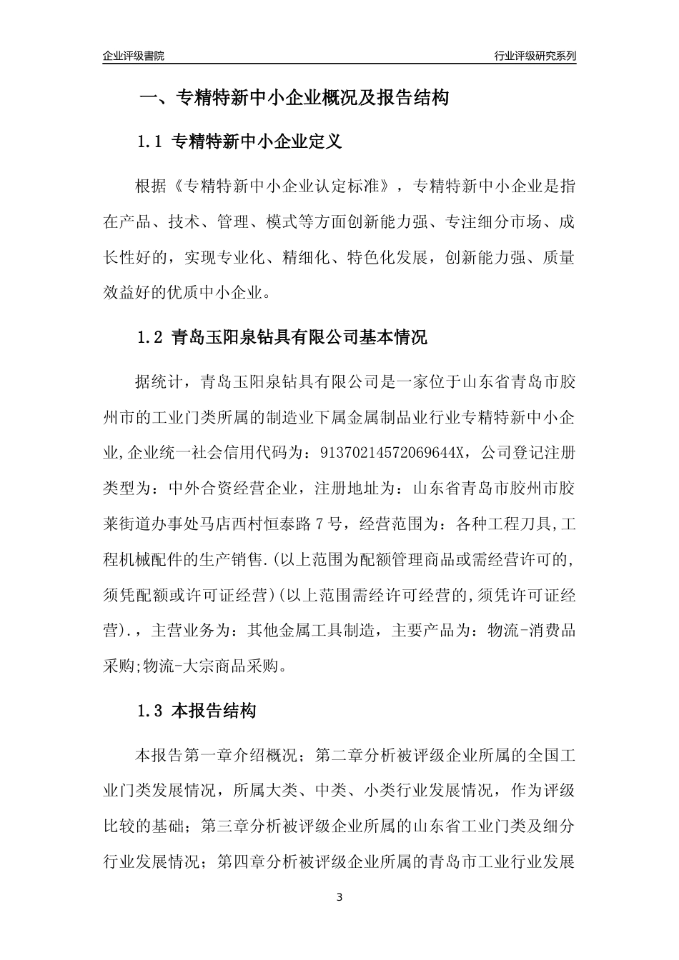 [专精特新]青岛玉阳泉钻具有限公司行业竞争力评级分析报告(2023版)_第3页